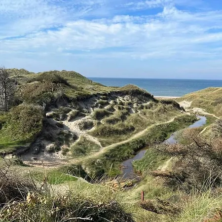Summer With Grass Roof In Klitmoller